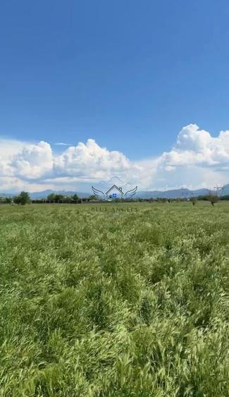 Teren agricol intravilan de 1952 mp, în Sânpetru