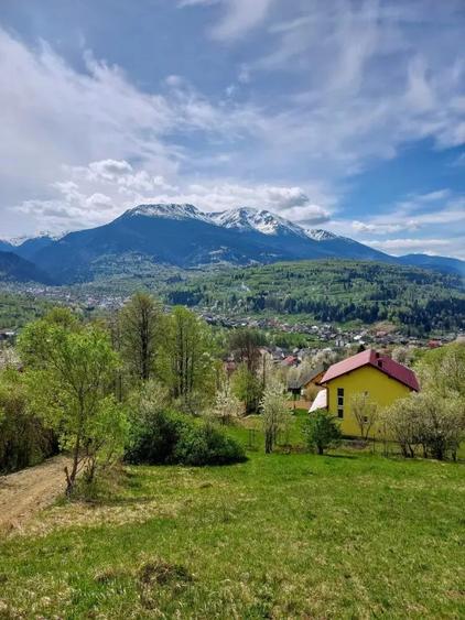 Teren de 2800 mp, în Central