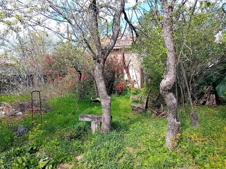 Casă cu Teren 850 Mp în Snagov