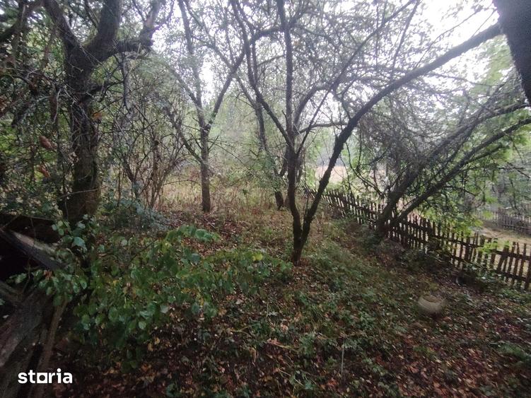 Casă cu 6 camere cu Teren 4800 Mp în Bârzava