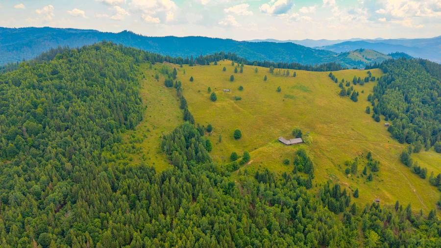 Teren de 170000 mp, în Vama