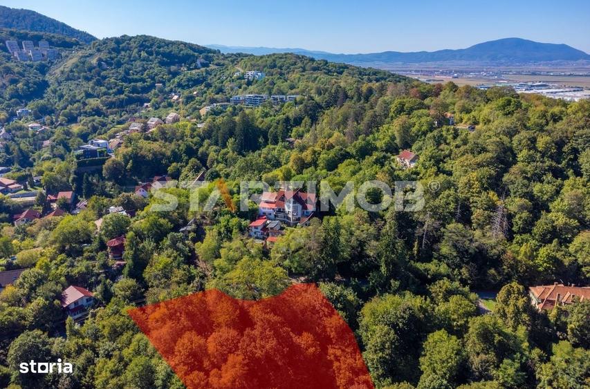 Spațiu comercial, în Schei