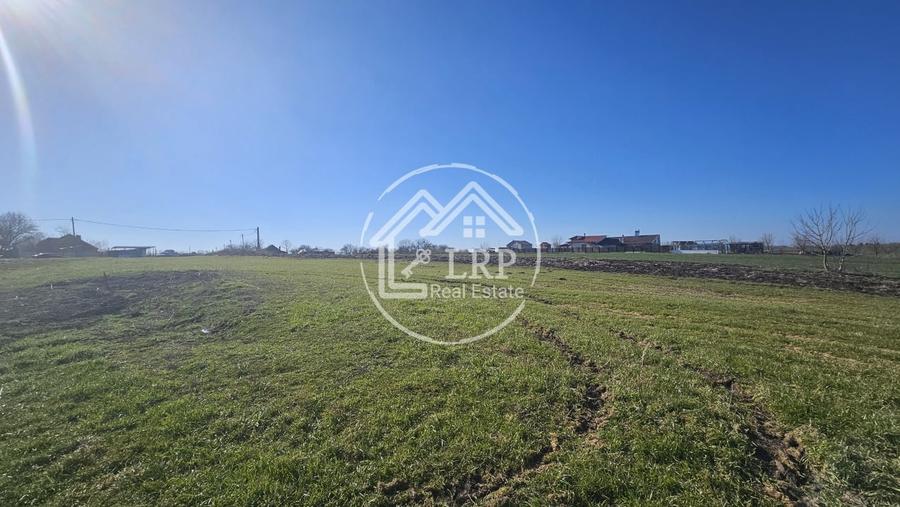 Teren Construcții intravilan de 646 mp, în Dascălu