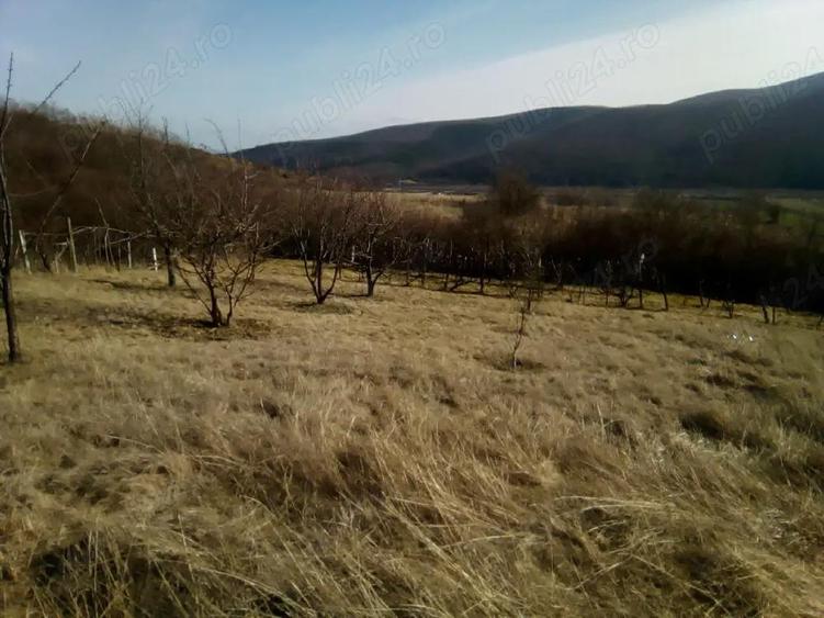 Teren de 1000 mp, în Central