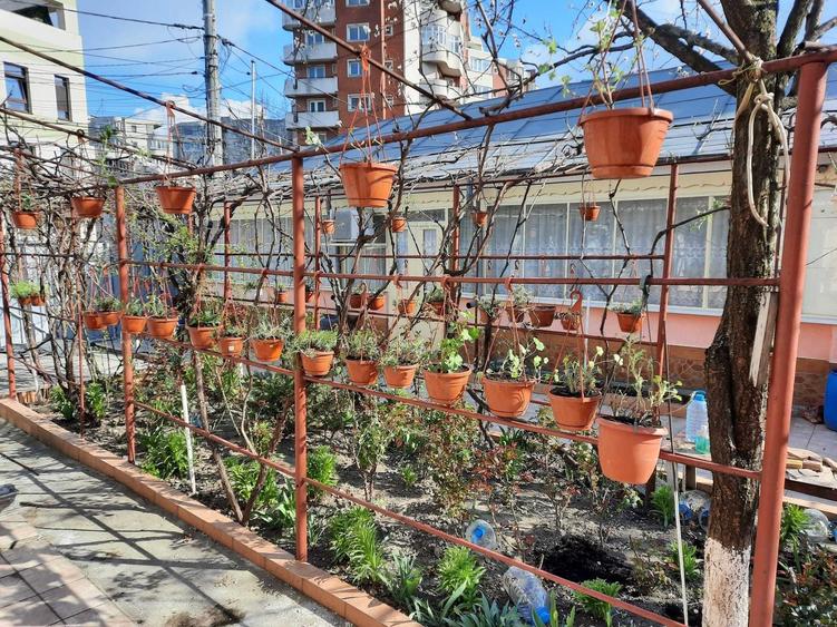 Casă cu 4 camere în Exterior Vest