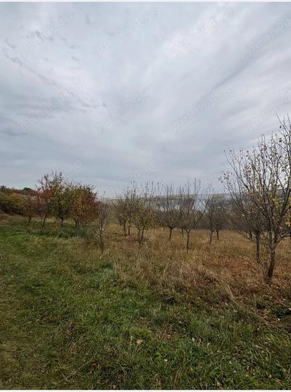 Teren de 4500 mp, în Comșești