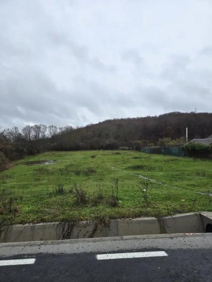 Teren de 2800 mp, în Borlești