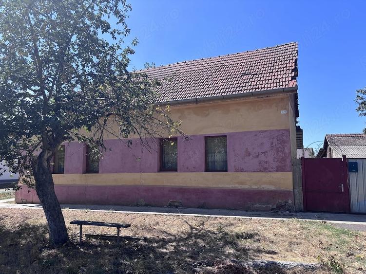 Casa de vanzare IANOVA - 5