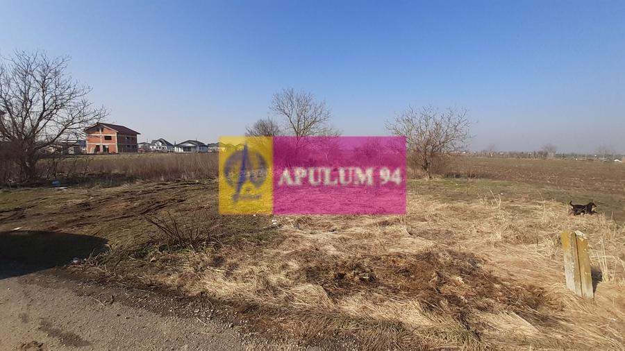 Teren Construcții intravilan de 1430 mp, în 1 Decembrie