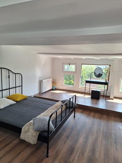 Gradina Zoo, apartamentul la mansarda - 16