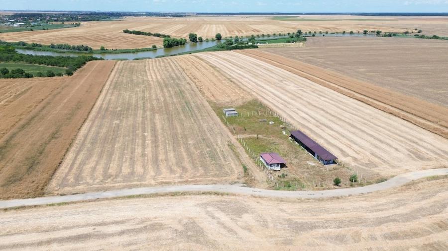 Teren Construcții extravilan de 6500 mp, în Frumușani