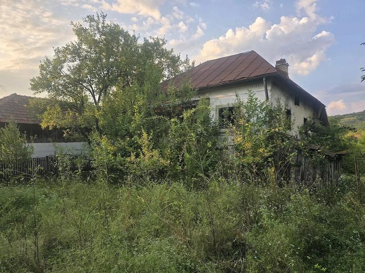 Vand teren intravilan in satul Vacarea, comuna Mihae?ti, in suprafa?a de 2.600 mp. - 3