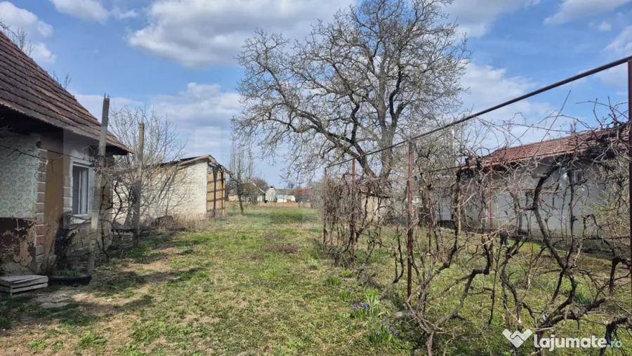 Teren intravilan de vanzare, 1399 mp, in localitatea Micula - 8