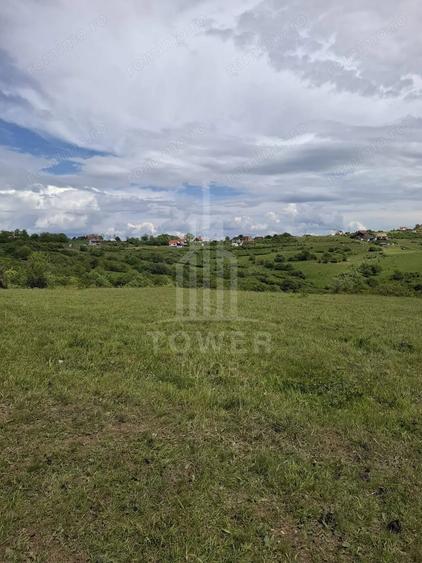 Teren de 11500 mp, în Daia