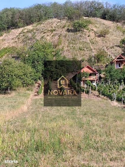 Teren Tileagd Bihor - 3
