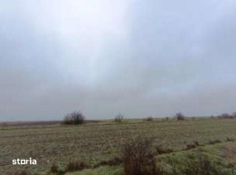 Teren de 6000 mp, în Ciocârlia