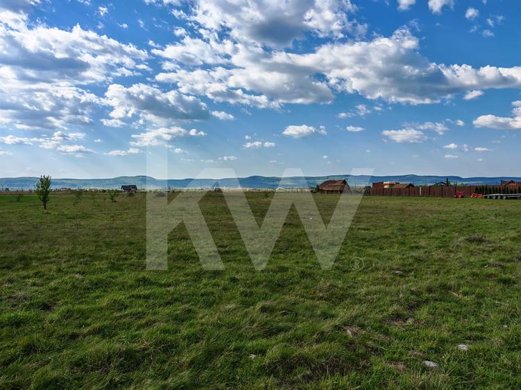 Teren agricol extravilan de 12600 mp, în Avrig