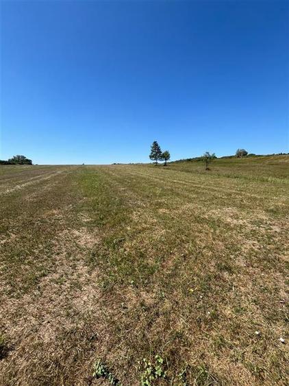 Teren agricol extravilan de 21300 mp, în Lăzăreni