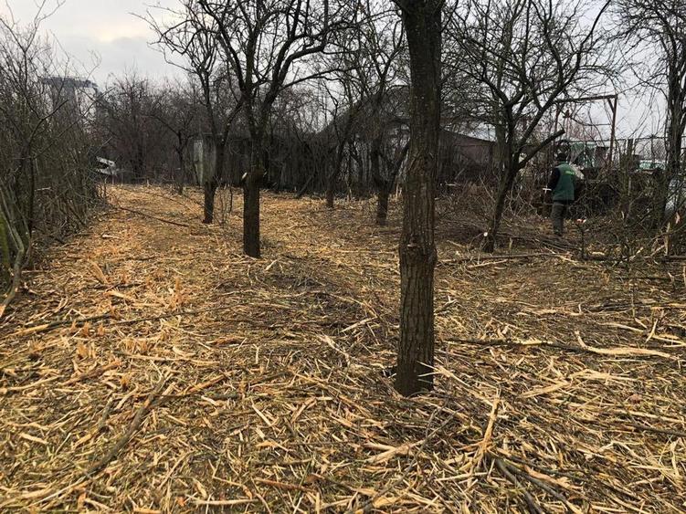 Teren Construcții intravilan de 7500 mp, în Voluntari