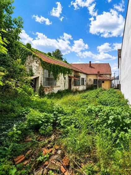 Casă cu 4 camere în Exterior Vest