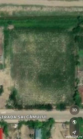Teren de 3000 mp, în Muchea