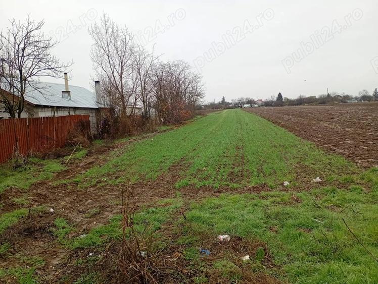 Teren de 3000 mp, în Dărăști-Vlașca