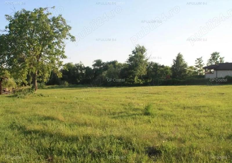 Teren de 60000 mp, în Poarta Albă