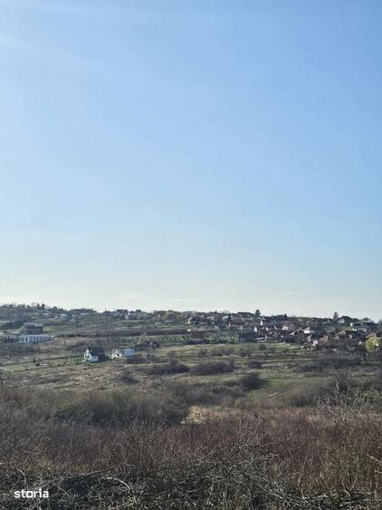 Teren intravilan Saldabagiu de Munte 850 mp - 5