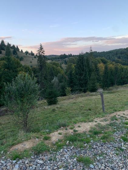 Teren agricol extravilan de 5000 mp, în Glod