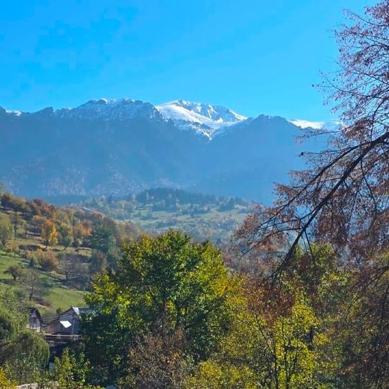 Duplex cu 5 camere cu Canalizare în Bran