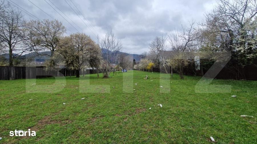 Teren de 4300 mp, în Baciu