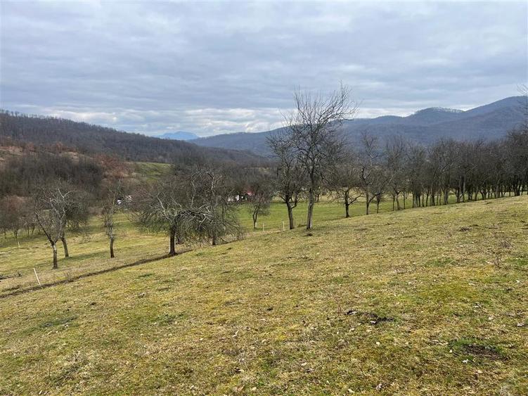 Teren intravilan de 11423 mp, în Luncoiu de Jos