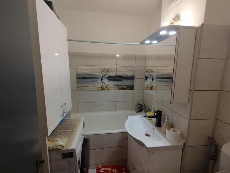 Apartament 2 camere vedere Mega Mall - 4