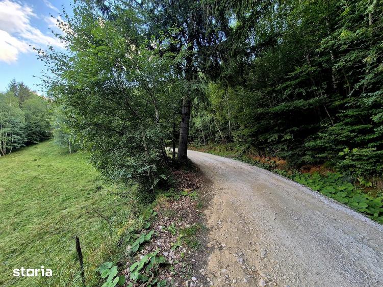 Teren investitie 8635 mp extravilan , Pestera Brasov - 14