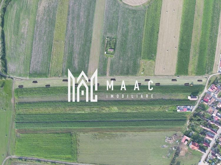 Teren Construcții intravilan de 8312 mp, în Șura Mică