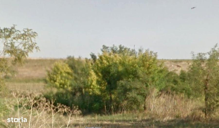 Teren de 5900 mp, în Liești