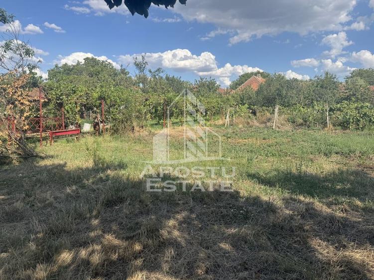 Casa unifamiliala cu teren de 1504 mp - 4