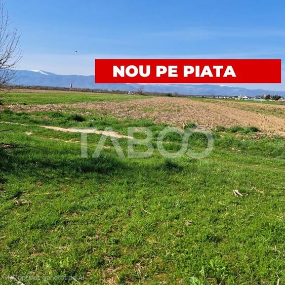 Teren agricol extravilan de 4166 mp, în Șelimbăr