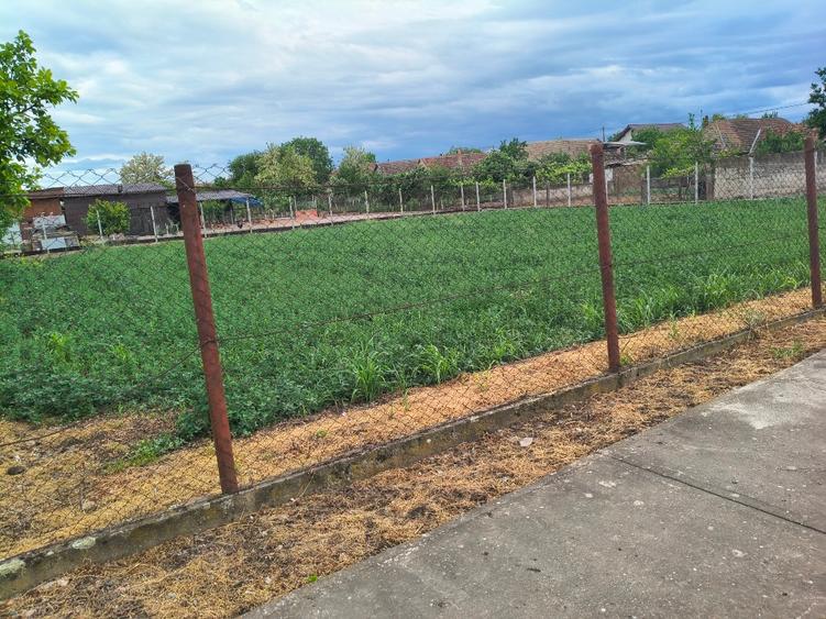 Teren Construcții intravilan de 900 mp, în Biled