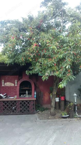 Casă cu 1 camere cu Teren 315 Mp în Ceangăi