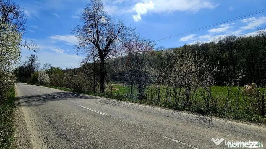 Teren în Nemțișor