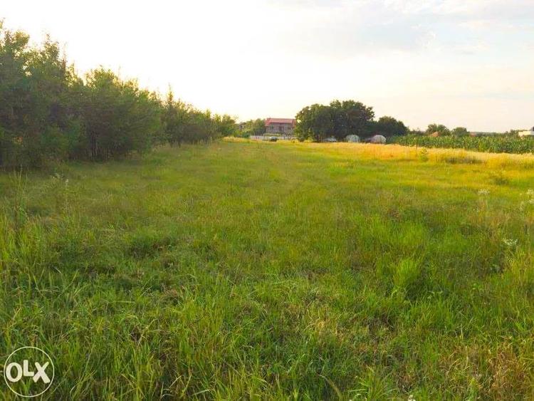 Teren Construcții intravilan de 3277 mp, în Ciofliceni