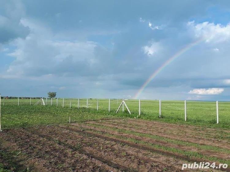Teren de 805 mp, în Cornești
