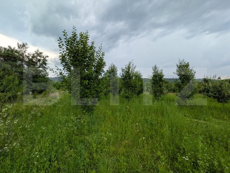 Teren Construcții intravilan de 4500 mp, în Voinești
