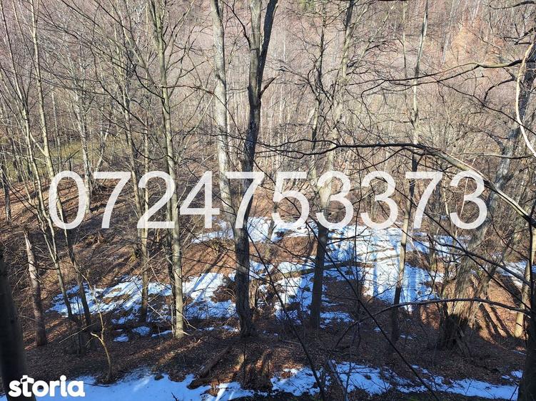 Cabana intravilan, teren 527mp, padure ?i rau, Valea Popii, Maneciu - 4