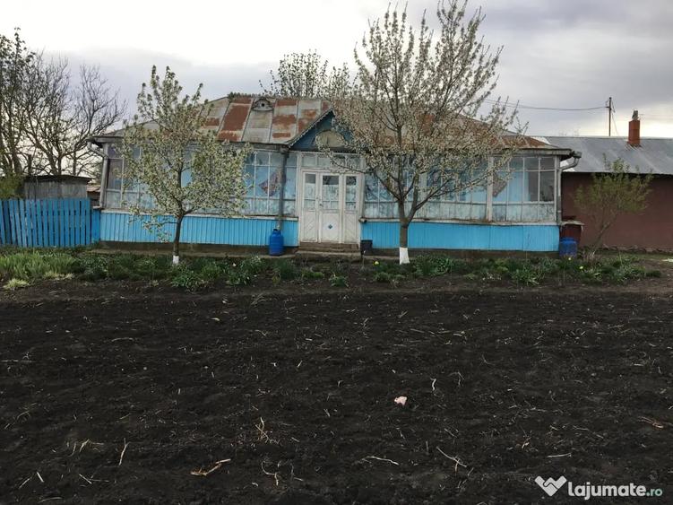 Casă cu 4 camere în Viișoara