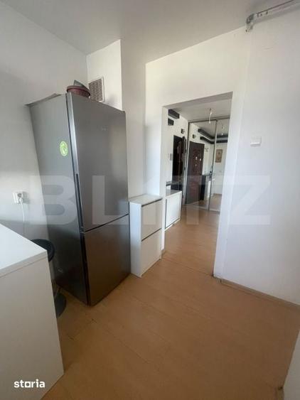 Apartament 2 camere, Grigorescu, aproape de Somes - 4