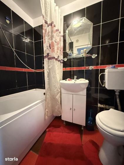 Apartament cu o camera, 18 mp utili, parter- zona Sagului - 4