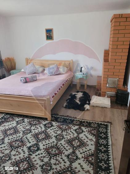 Casă cu 4 camere cu Teren 16499 Mp în Baia de Fier