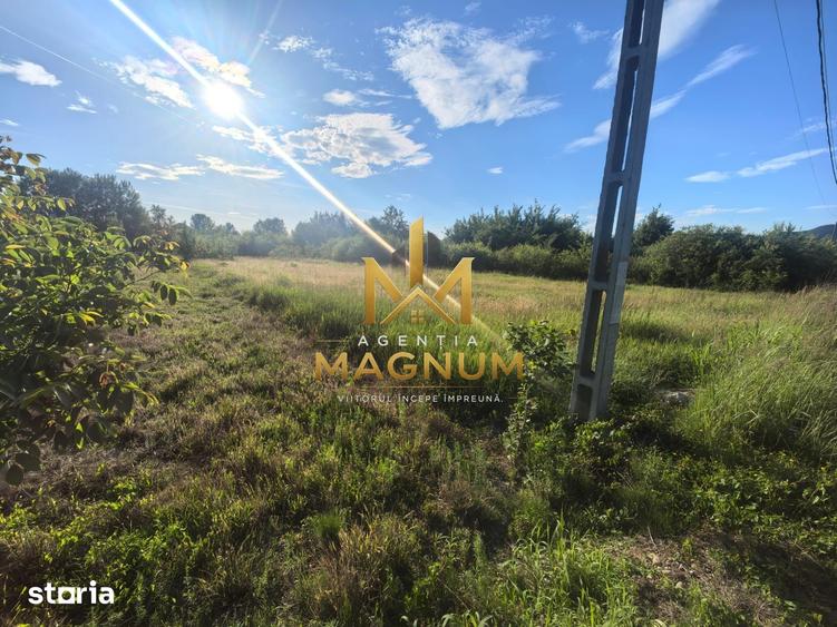 Teren de 1376 mp, în Tăuții-Măgherăuș